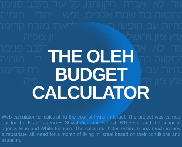Budget calculator case